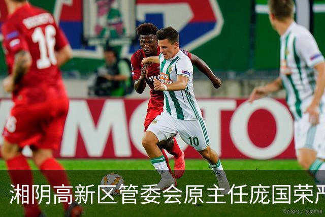 湘阴高新区管委会原主任庞国荣严重违纪违法被处理